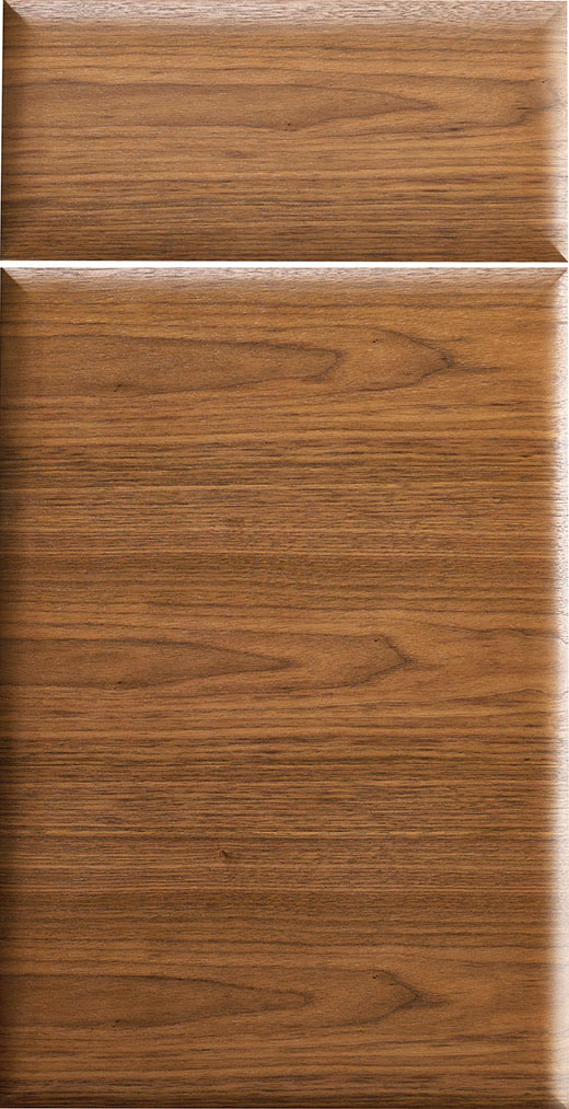 Fusion cabinet door style in Plain Sliced Black Walnut